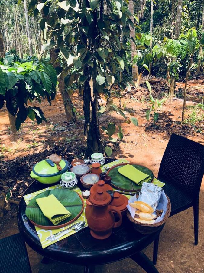 Kerala Wild Stay Kanthalloor Экстерьер фото
